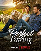 A Perfect Pairing 2022 Hindi Dubbed 480p 720p Mp4Moviez