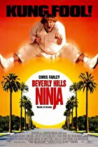 Beverly Hills Ninja 1997 Hindi Dubbed 480p 720p Mp4Moviez