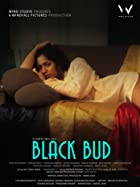 Black Bud 2021 Full Movie Download Mp4Moviez