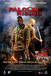 Falcon Rising 2014 Dual Audio Hindi 480p 300MB Mp4Moviez