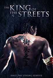 The King of the Streets 2012 Dual Audio Hindi 480p 300MB Mp4Moviez